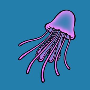 Jellyfish