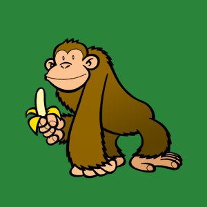 Monkey